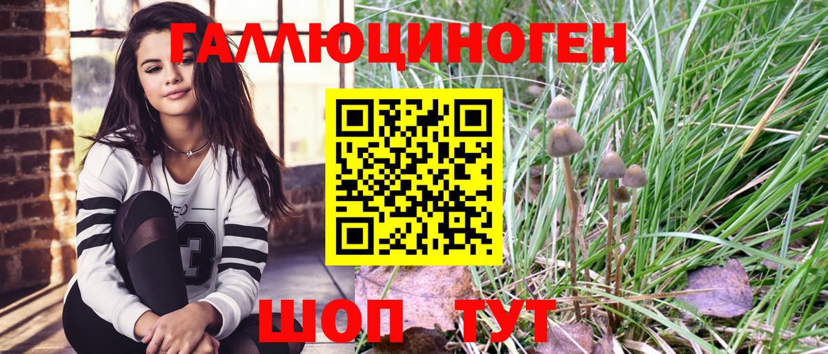 Псилоцибиновые грибы Magic Shrooms Бор